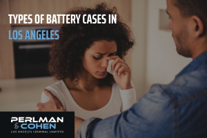 Types of battery cases in Los Angeles