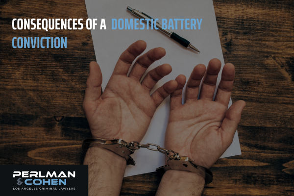 Consequences of a domestic battery conviction